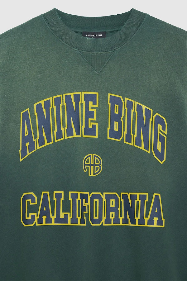 JACI SWEATSHIRT ANINE BING CALIFORNIA WASHED FADED GREEN D.D s