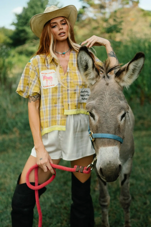 RESPECTFULLY, THE DONKEY