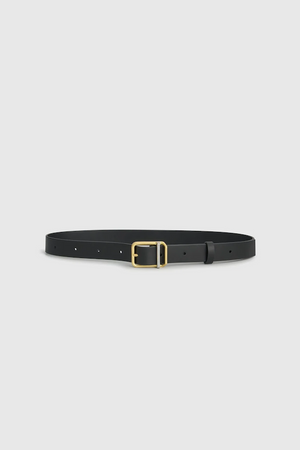 ARLO BELT